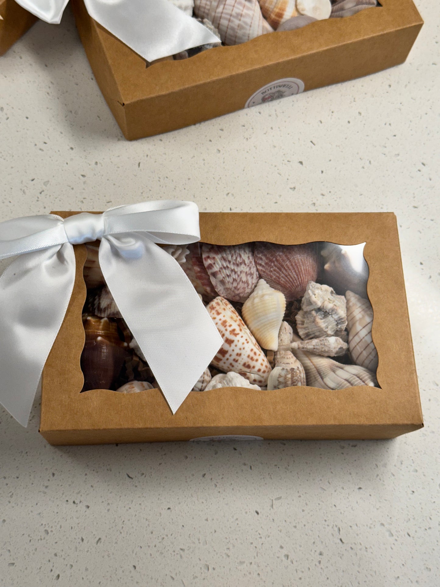 Shell mystery boxes