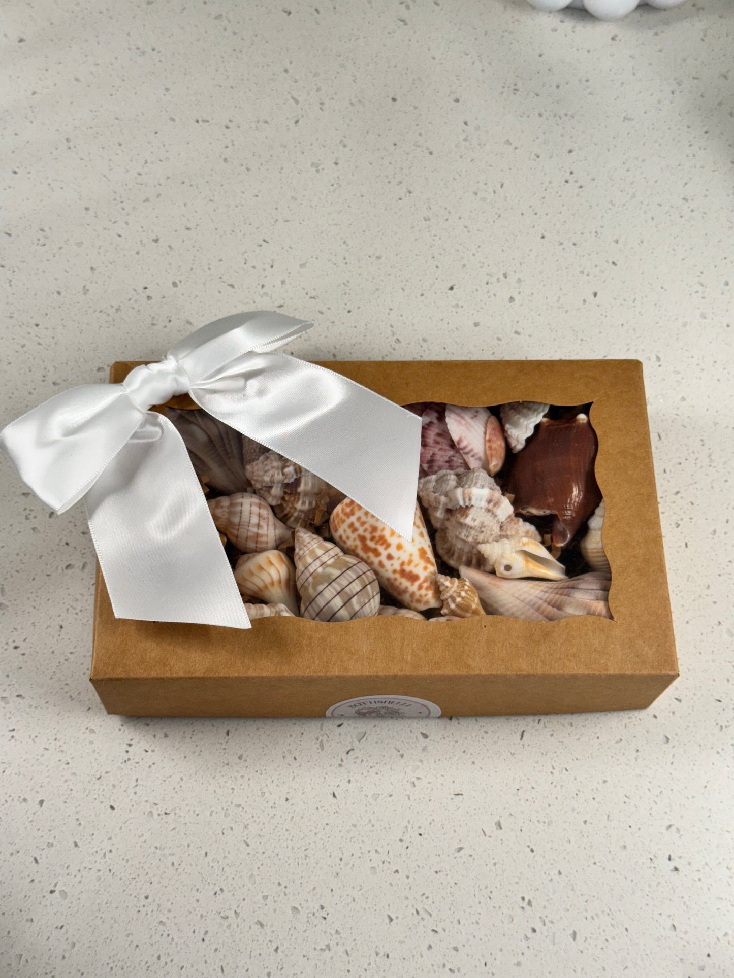 Shell mystery boxes