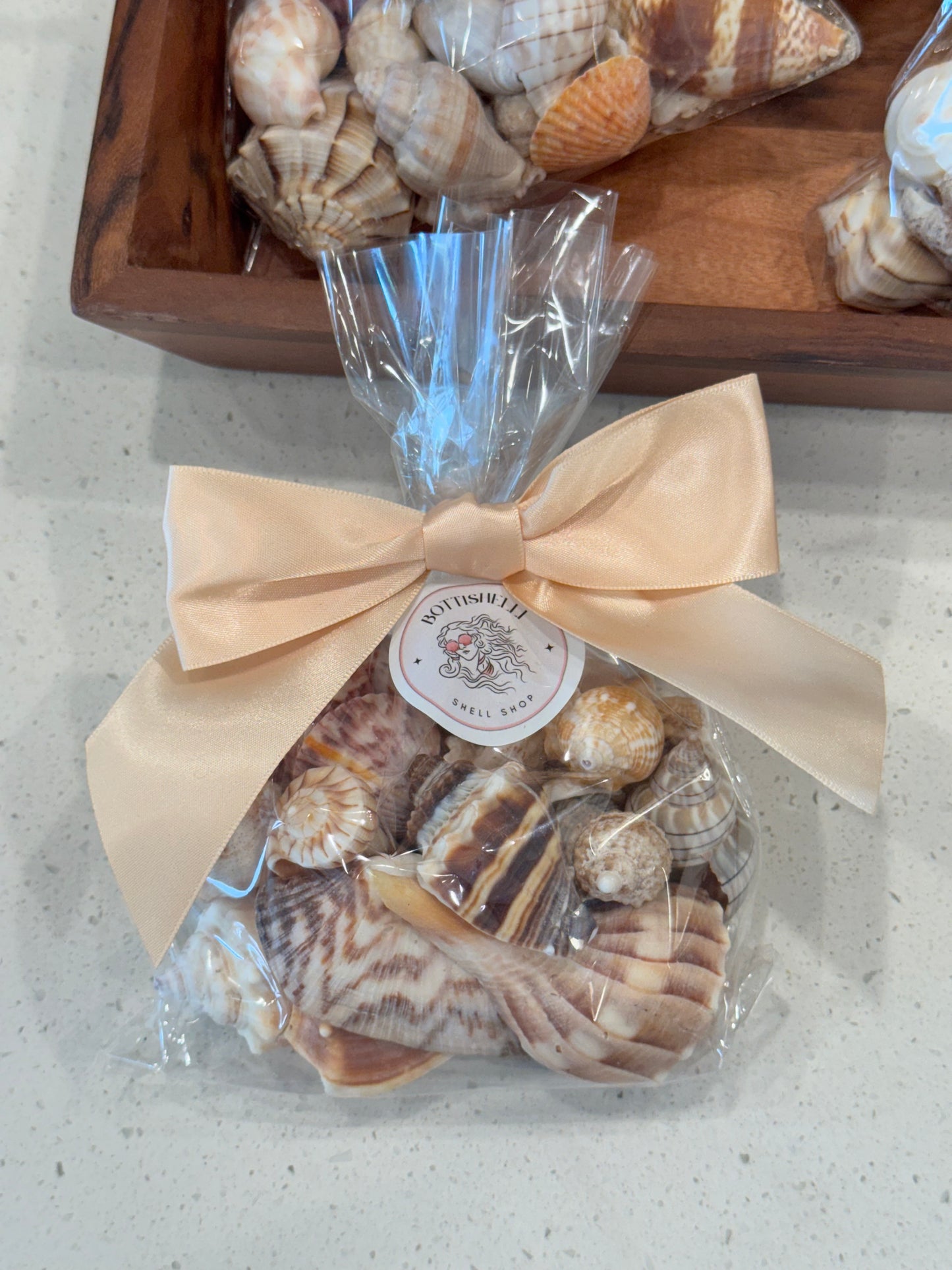 Shell mystery bags