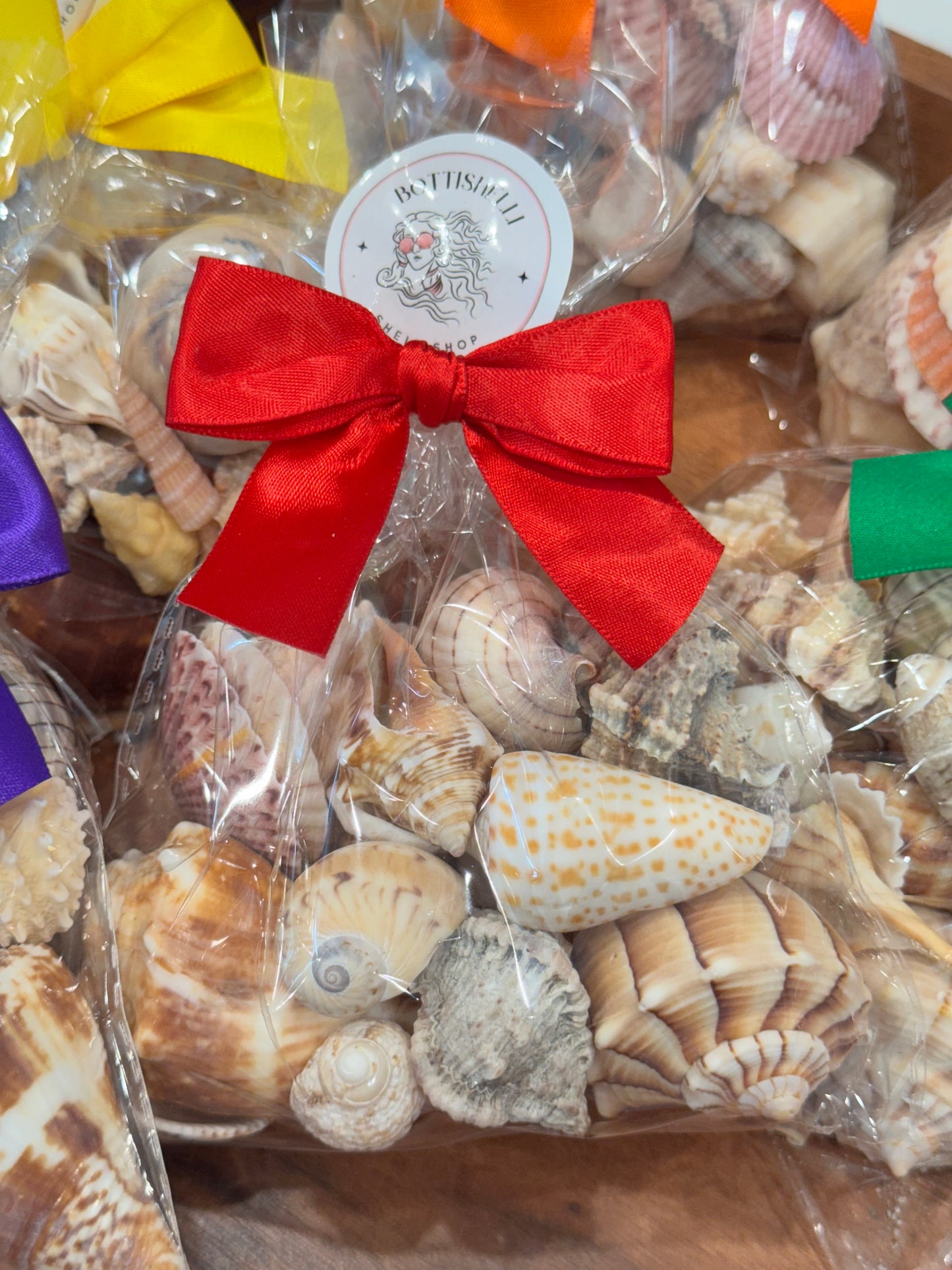 Shell mystery bags