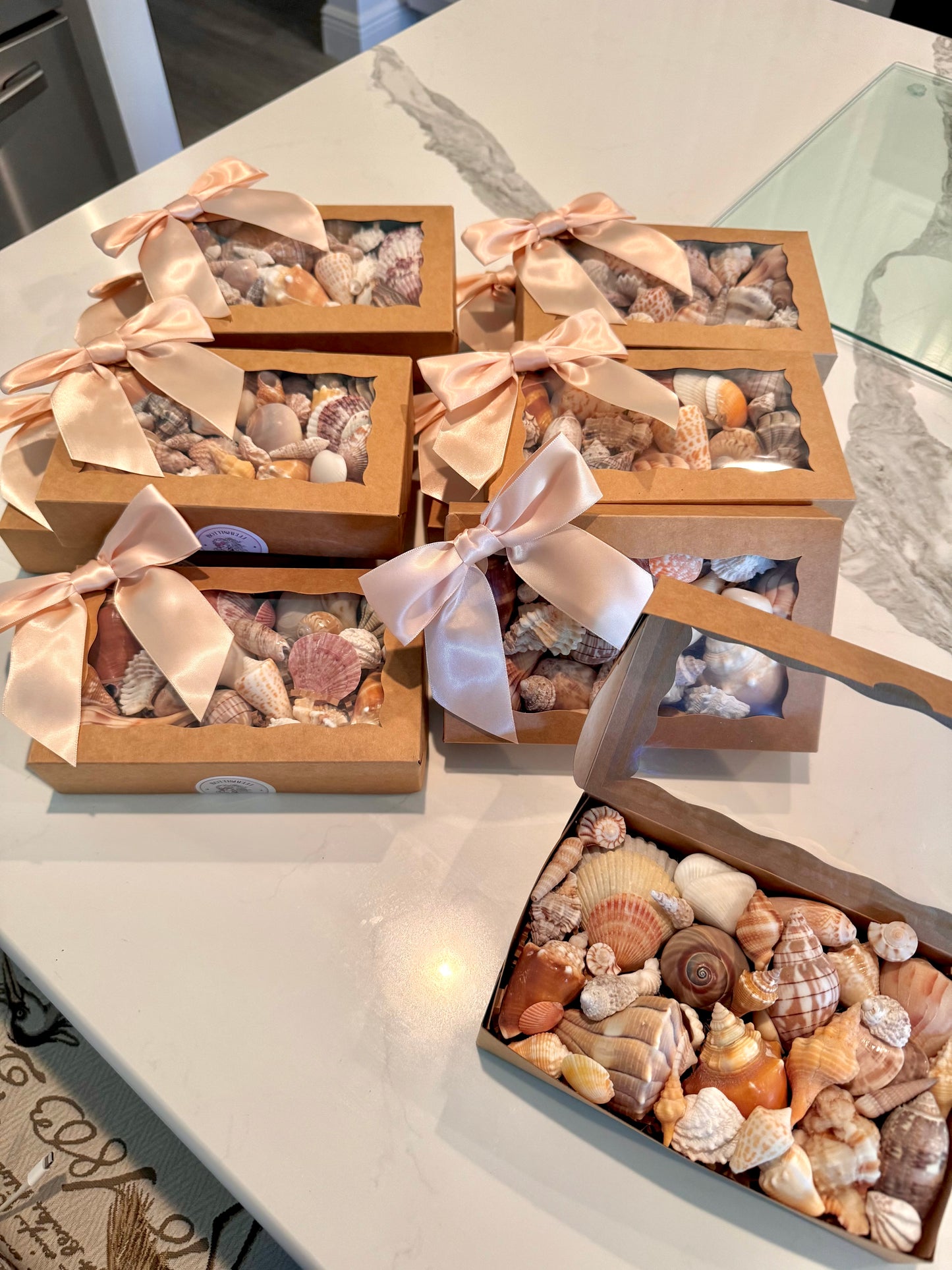 Shell mystery boxes