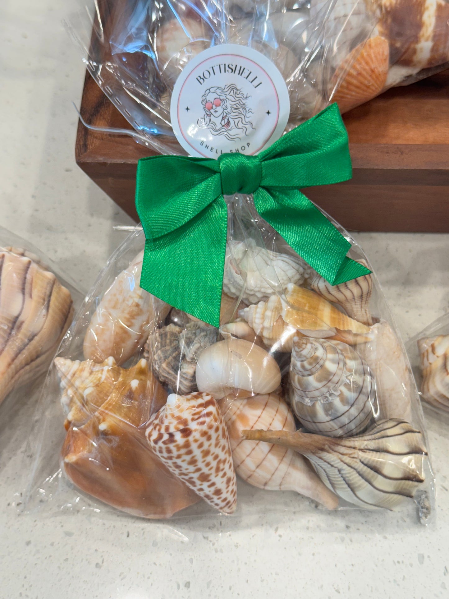 Shell mystery bags